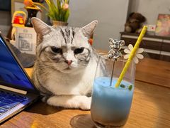 -咖法森林·咖啡  酒吧(天河店)