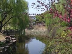android_upload_pic-灵岩山风景区
