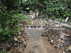 -火炉山森林公园