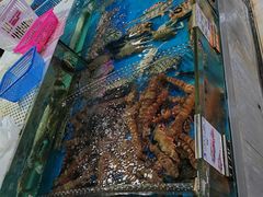 -四川小胡子海鲜(丁村万人海鲜广场店)