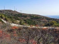 -鬼笑石后山停车场