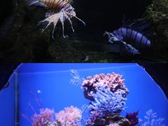 -南昌海洋公园