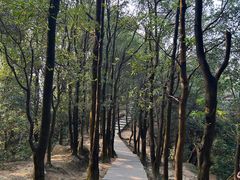 -火炉山森林公园