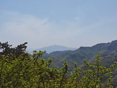 -妙峰山风景名胜区