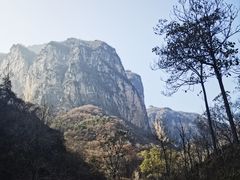 -齐王寨景区