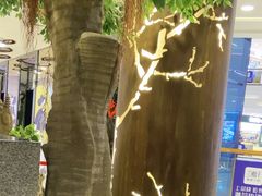 -醉美长安·陕菜(万和城店)