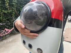 -佑安动物医院·全科·内窥镜中心(幸福巷店)