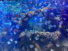 -多彩贵州城极地海洋世界