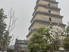 -大慈恩寺(大雁塔)
