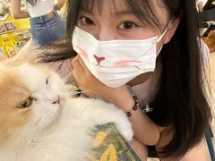 -平行世界·猫咖(首经贸店)
