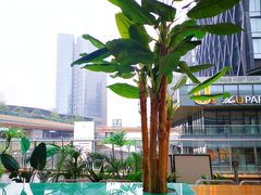 大堂-米纸越南小馆(砂之船店)