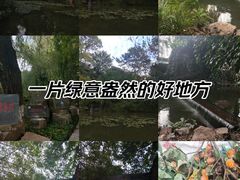-竹泉村旅游度假区