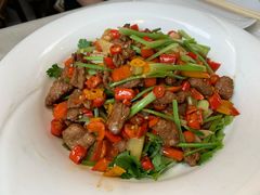 -食家鸽园