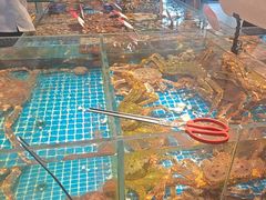 -连鹭海鲜·海肠捞饭·海胆饭(星海店)