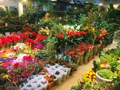 -双季花艺园艺市场(浦东店)