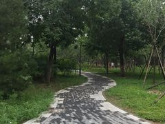 -回龙观体育文化公园
