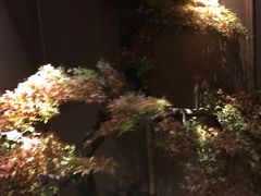 -大桶大足浴(广灵店)