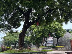 -同心泥烩鸡