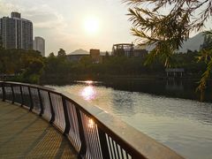 -四海公园(南山区)