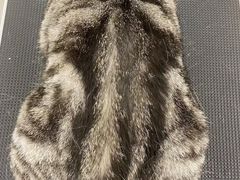 -comecome来吧宠物(奥克斯中心店)