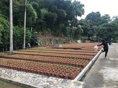 -广州市干部健康管理中心