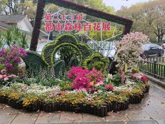 -上海共青森林公园