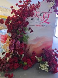-石家庄苏亚美联臣医疗美容医院