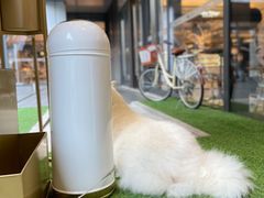-Peet's Coffee皮爷咖啡(万象天地店)