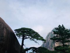 -黄山风景区