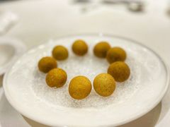 冰镇龙眼-南麓·浙里(外滩店)