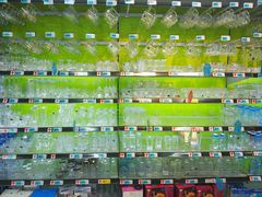 -大润发(芜湖店)