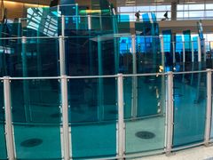 -达拉斯 沃斯堡国际机场