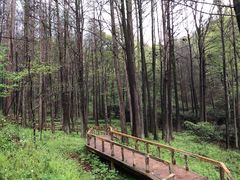 -波尔登森林公园