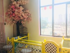 -70cat德文卷毛猫·缅因猫纯种猫舍