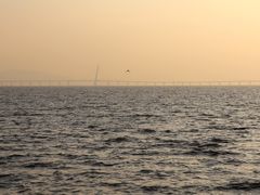 -深圳湾公园(南山区)