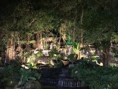-绿光森林餐厅