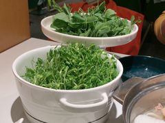 -烹然四季椰子鸡火锅(姚家园万象汇店)