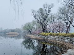 -颐和园
