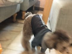 -默迹咖啡馆