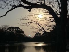 -江心屿景区