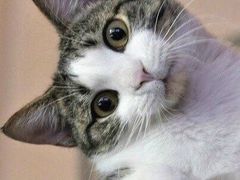 Full&nbsp;House桌游电玩(徐汇二店)-FullHouse桌游狼人跑团剧本杀(徐家汇店)