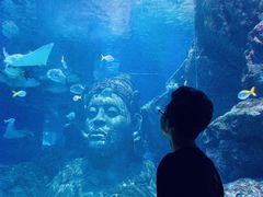 -暹罗海洋世界