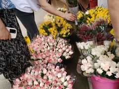 -循礼门鲜花花市(武汉循礼门店)