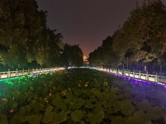 -芍药居北里