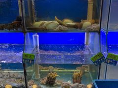 水产区-启东小海鲜(庄先湾路1号店)