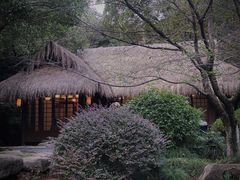 -中国茶叶博物馆(双峰馆区)