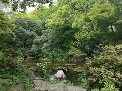 -上海滨江森林公园
