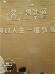 -碧莲盛·不剃发植发