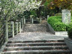 -白马涧龙池景区