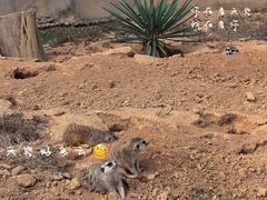 -杭州野生动物世界